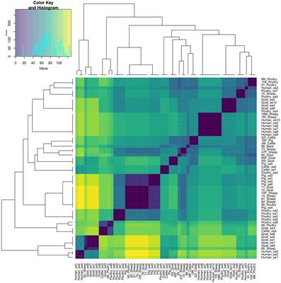 Enterococcus species: insights into antimicrobial resistance and whole-genome features of isolates recovered from livestock and raw meat in Ghana